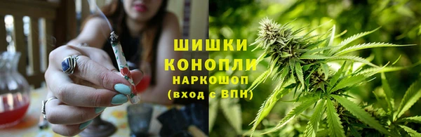 дживик Гусев