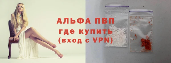 дживик Гусев