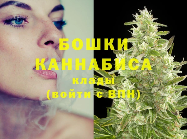 дживик Гусев