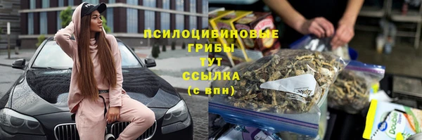 mdpv Гусиноозёрск