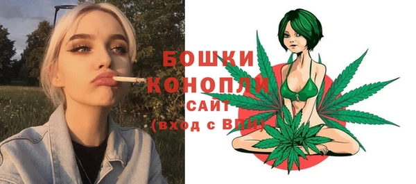 дживик Гусев