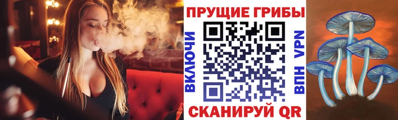 Псилоцибиновые грибы Magic Shrooms  Дзержинск 